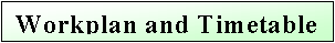 Text Box: Workplan and Timetable