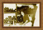 Cllique para foto maior - Click on to view the larger picture