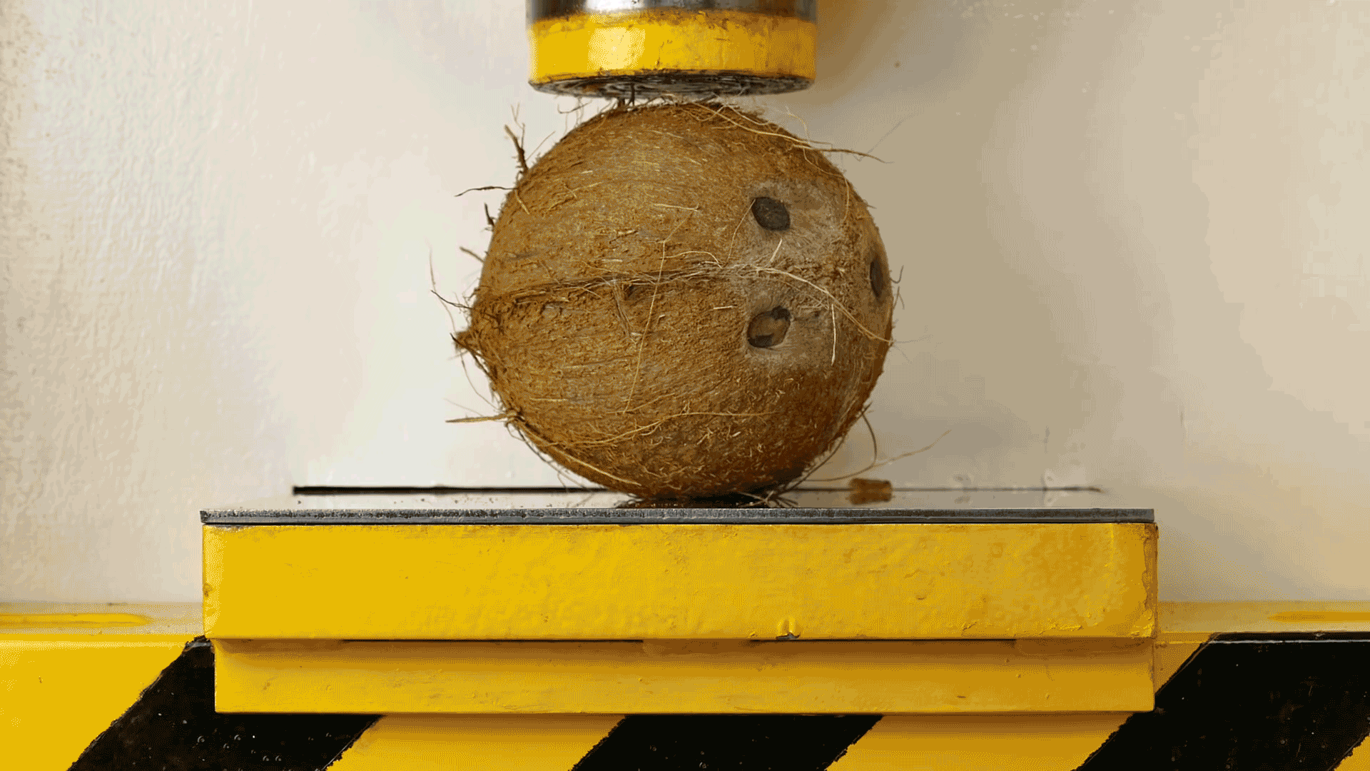 happy coconut