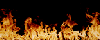 If you don't see any images;
