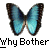 weezer buddy icon