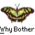 weezer buddy icon