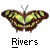 weezer buddy icon