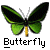 weezer buddy icon
