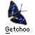 weezer buddy icon