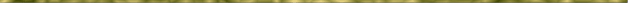 Gold divider bar