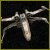 X-Wing