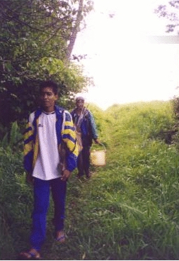 bedengan9.jpg (103475 bytes)