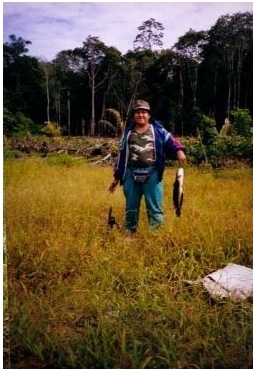 belukar3.gif (84909 bytes)