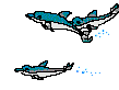 dolphins.gif (9299 bytes)
