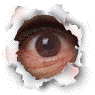 eyeflash44.gif (5711 bytes)