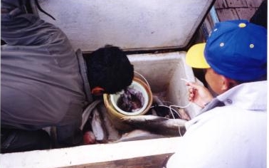 ld8.jpg (66884 bytes)