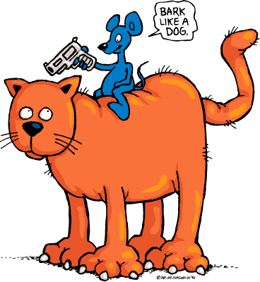 Kat en muis, wie is baas?