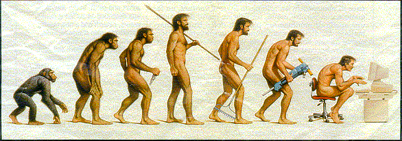 Die evolusie van werk