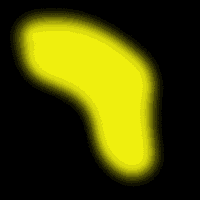ylwspl.gif (9291 bytes)