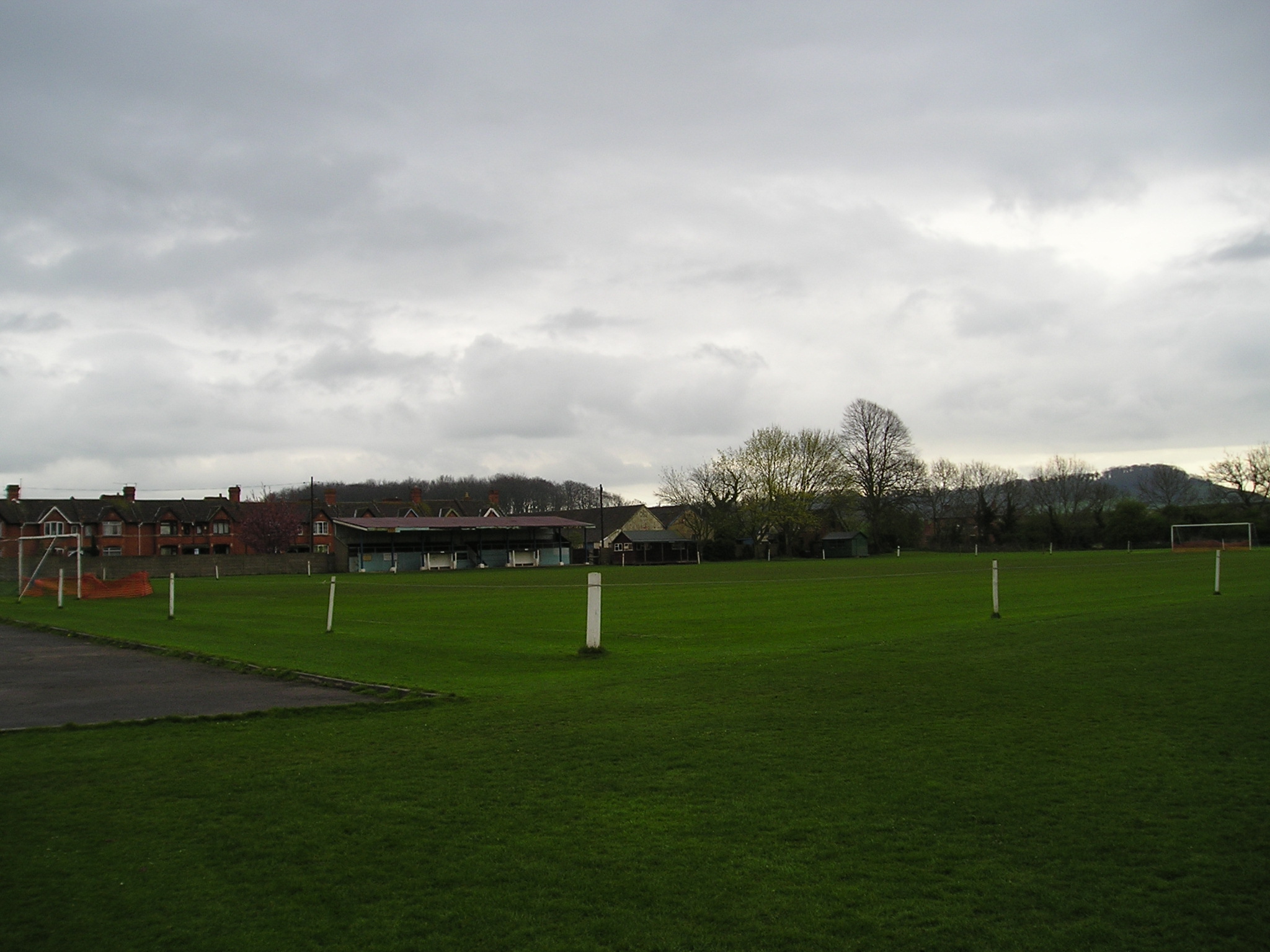 The Pitch
