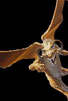 Tulsa Dragonlance