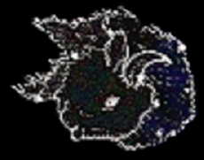 Kiri-Jolith's Contellation - The Bison Head