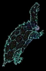 Zeboims's Constellation - the Dragon Turtle