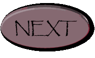Next_button.gif (39287 bytes)