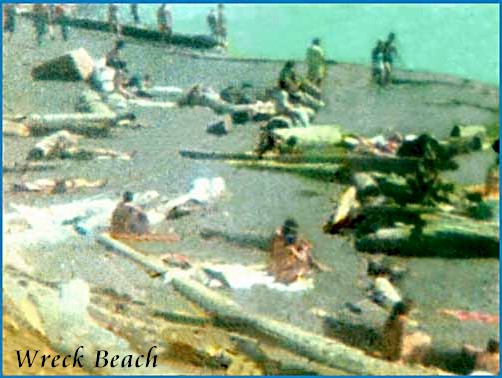 Wreck_Beach_Low.jpg (60367 bytes)