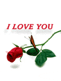 040920_butterly_rose.gif (14657 bytes)