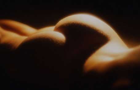 Mis manos
acariciando
tus nalgas.
Mi boca
entre tus piernas