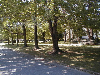 View from Meadowbrook Dr
