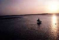 Connect to the Internet if you can't see this image.