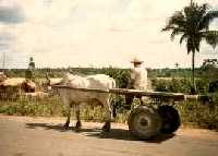 Connect to the Internet if you can't see this image.