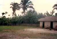 Connect to the Internet if you can't see this image.