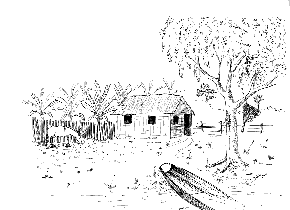 morada t�pica da Baixada Maranhense, sempre tem uma conoa por perto