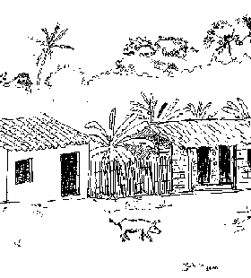 rua de povoado no interior do Maranh�o