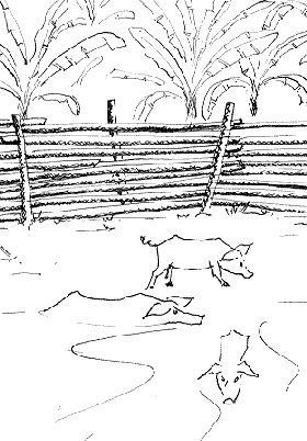 ro�a cercada para que as cria��es n�o entrem