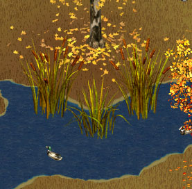 Withered Thin-Leafed Cattails