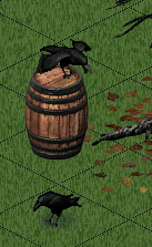 "The Raven"