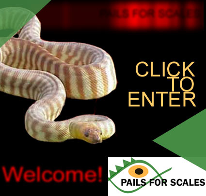 Click here to Enter Site
