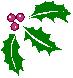 Holly