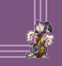 blomst