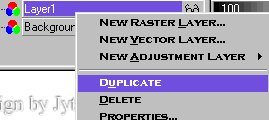 duplicate