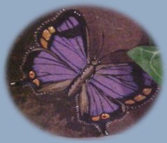 Purple Butterfly Rock