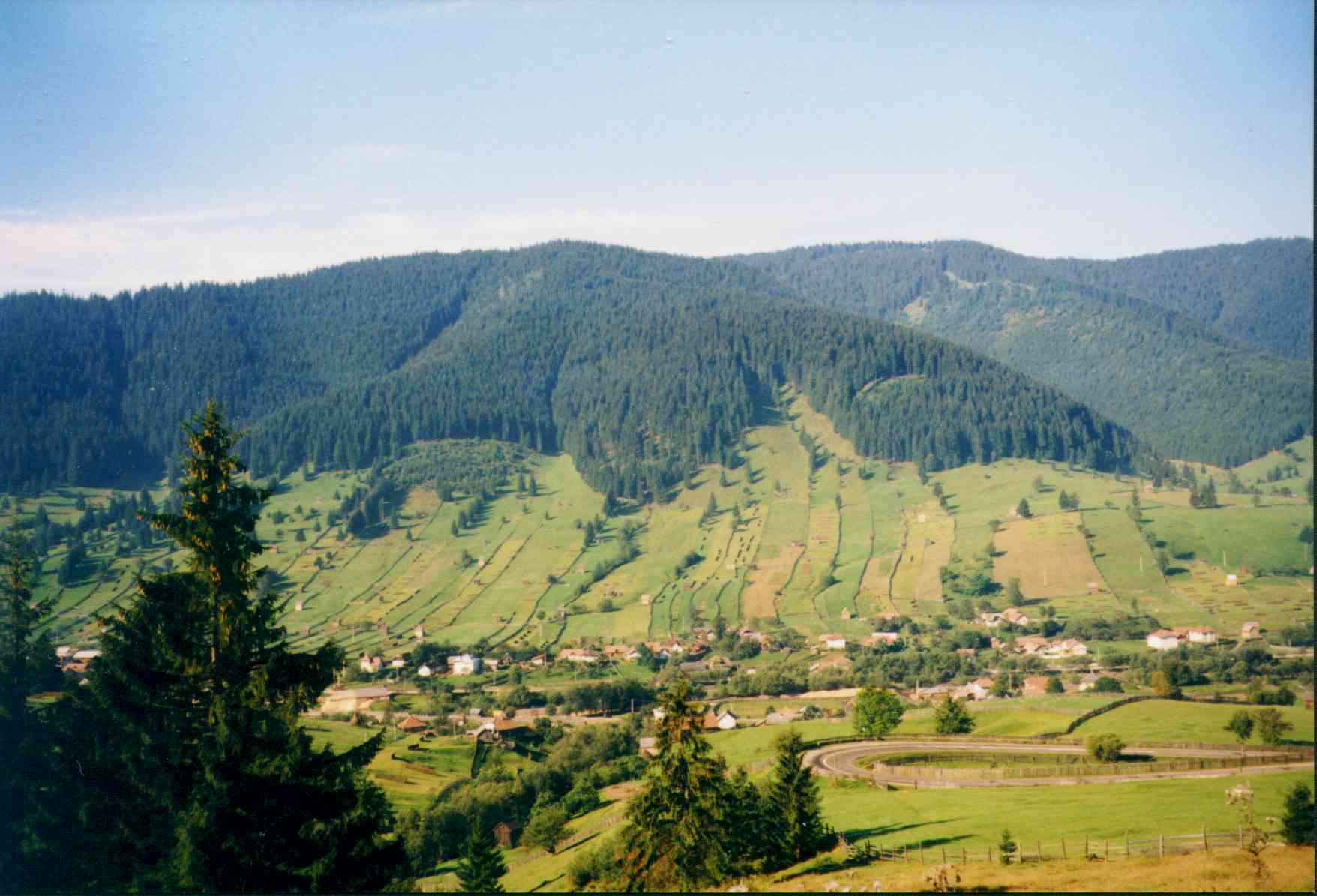 On the road to Moldovita.jpg (115252 bytes)
