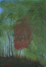 Landscape 4