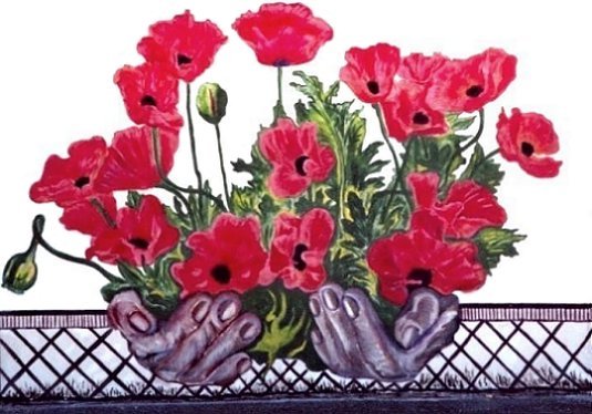 Poppies