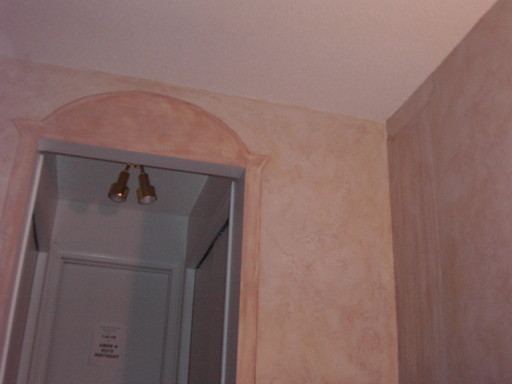 ventian plaster