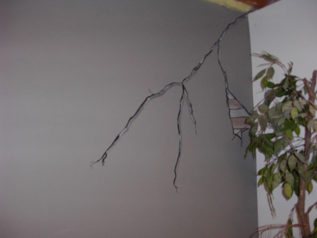 cracking cement wall