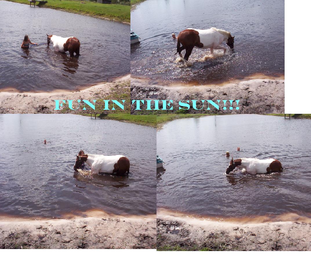 Rebel Swimming