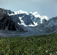 Montaсas de Altay