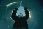 Iglu - casa temporal del Norte
