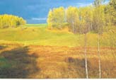 Oto&ntilde;o dorado en centro de parte Europea de Rusia
